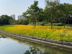 -蠡湖大桥公园
