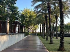 -三亚海棠湾万丽度假酒店