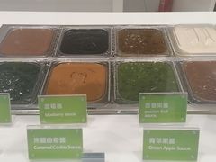 -Salud撒露欧洲冻酸奶(五道口购物中心店)