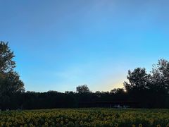 -春晖园度假酒店温泉