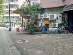 -真打拉面·日式拉面新流派(体育西横街店)
