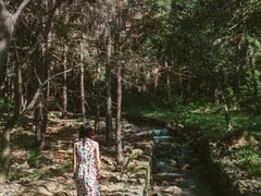 -南京市无想山景区