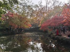 -秋霞圃