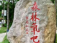 -洛阳白云山景区