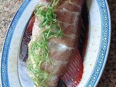 -大班家政月嫂育儿嫂(总部店)