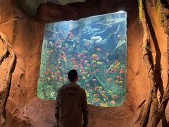 -杭州开元森泊度假乐园