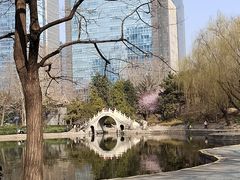 -团结湖公园