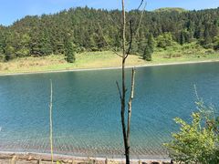 -武陵山森林公园