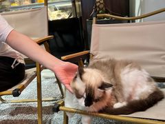 -seeu coffee(江滩店)