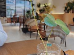 -fishtank鱼缸咖啡(三山街店)