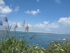 -枸杞岛