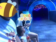 -北戴河圣蓝海洋公园