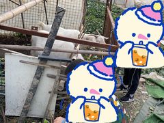 -青浦采草莓天天草莓园
