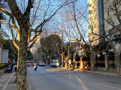 -复旦大学附属华山医院(总院)