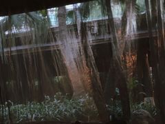 -厦门日月谷温泉渡假村