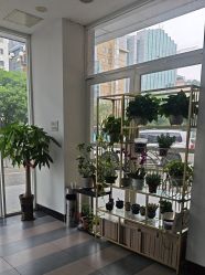 -索菲雅新派婚纱摄影(桂林店)