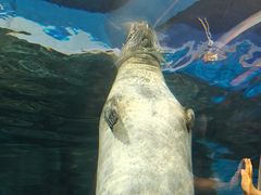 -上海海洋水族馆