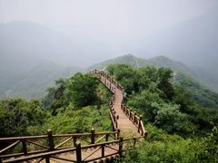 -大岭沟猕猴桃谷风景区