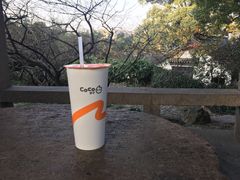 -CoCo都可(惠山古镇店)