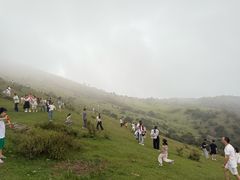 -大姆山草场