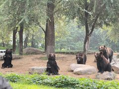 -北京野生动物园