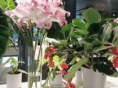 -懒人盐府人家(航天桥店)