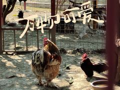 -国色天乡三期陆地乐园