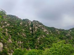 -大岭沟猕猴桃谷风景区