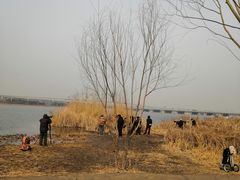 -绿堤公园