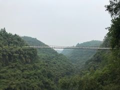 -川西竹海景区