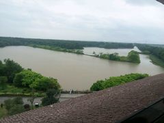 -大湾区中央湿地公园