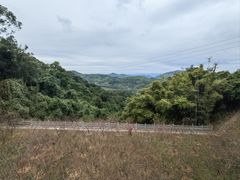 -广州市帽峰山景区
