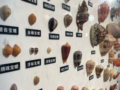 -海合安青岛极地海洋公园