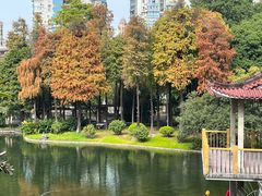 -晓港公园