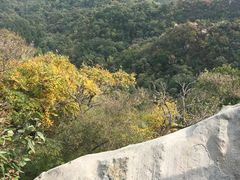 -北京鹫峰国家森林公园