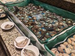 -初色海鲜自助(万丰路店)