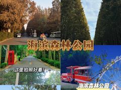 -日照海滨国家森林公园