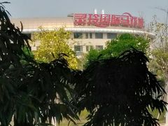 -灵玲国际马戏城