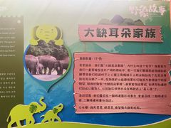 -野象谷景区
