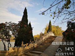 -渭滨公园