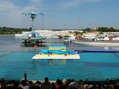 -秦皇岛乐岛海洋王国