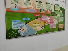 -美联众合动物医院·24h转诊中心