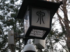 -趵突泉景区
