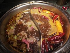 -牛New寿喜烧(金鹰世界店)