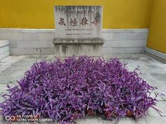 -西园戒幢律寺