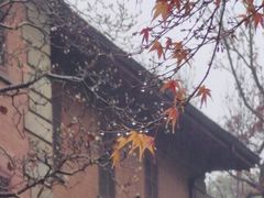 -之江大学-旧址