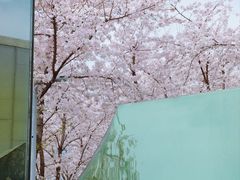 -龙美术馆(西岸馆)