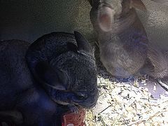 -龙猫仔乐园(惠福东路店)