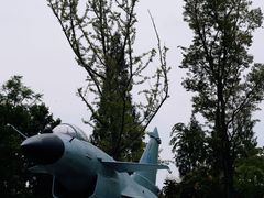 -成飞公园