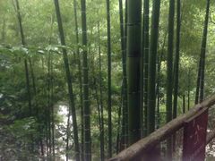 -山沟沟景区